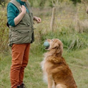 Working Training Day 18th April 2026 - Non-Member SOLD OUT