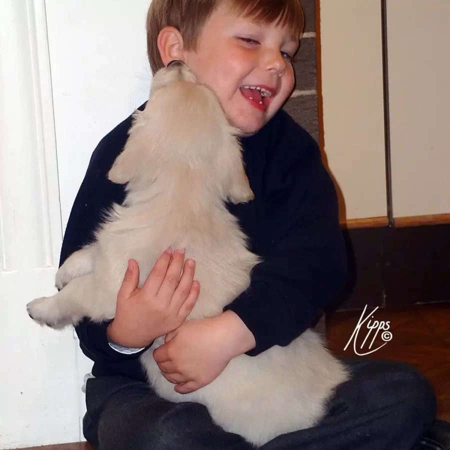 KIPPS Copyright First Kiss-